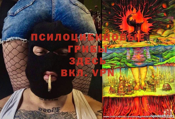 альфа пвп Нязепетровск