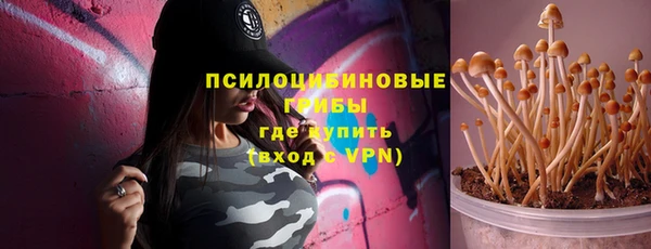 ешки Алексин