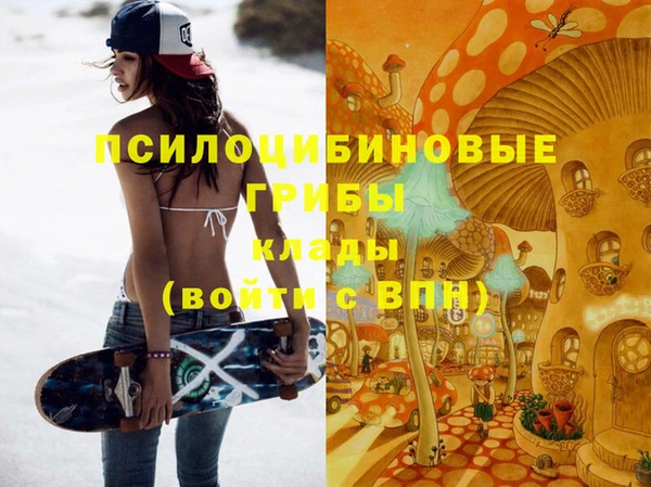 молекула духа Алзамай